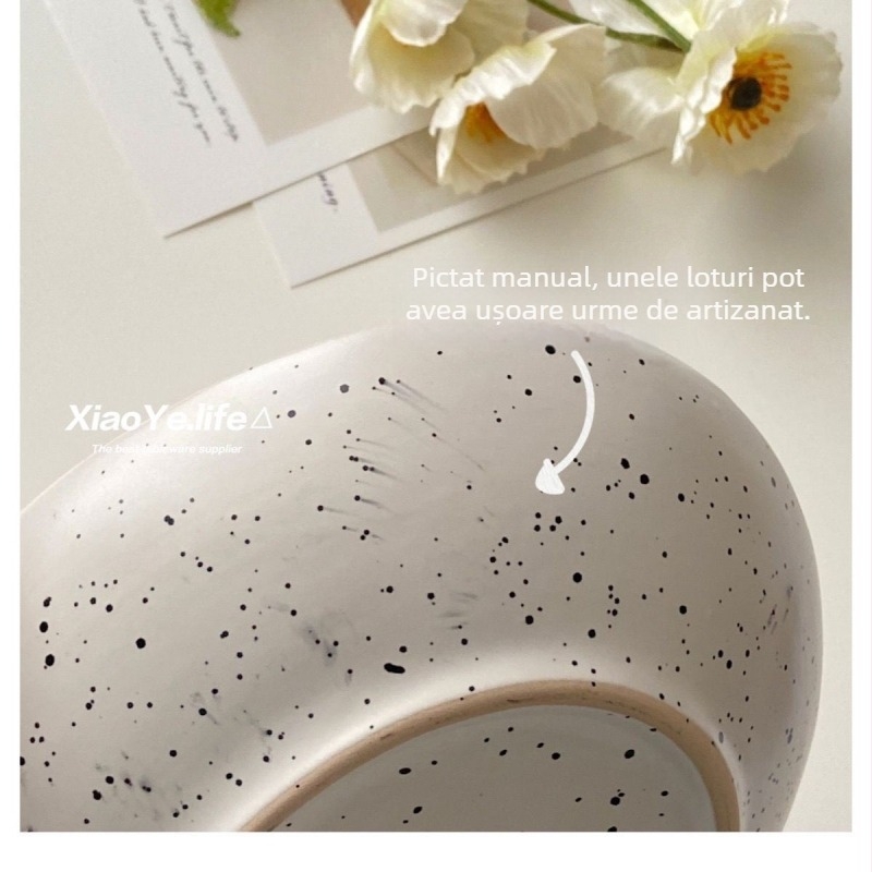 Vas ceramic pentru salată, formă neregulată, model cu stropi de cerneală, stil coreean retro, simplu și elegant pentru uz casnic.