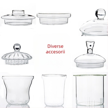 Sticlă borosilicată pentru ceainic: accesorii pentru interior, capac din sticlă, diverse capace și filtru de ceai