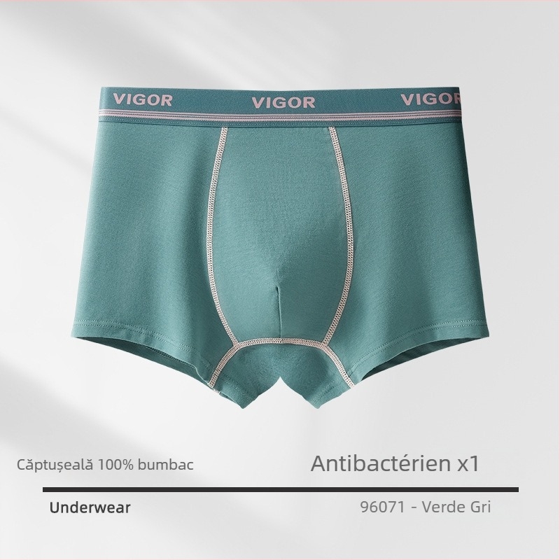 Boxeri bărbați din 100% bumbac, antibacteriali, Tip A, mărime mare