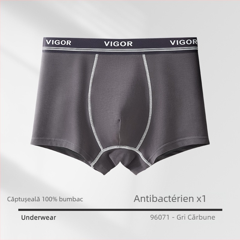 Boxeri bărbați din 100% bumbac, antibacteriali, Tip A, mărime mare