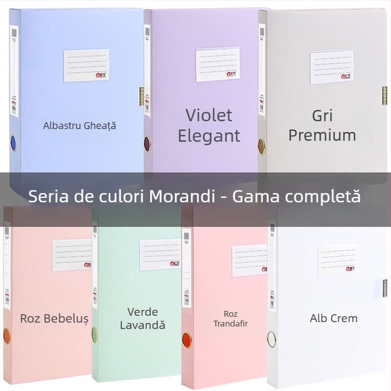 Cutie Morandi pentru fișiere, pliabilă, din plastic, format A4