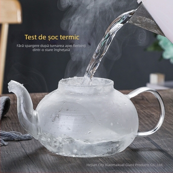 Ceainic din sticlă borosilicată, set de ceai cu infuzor pentru ceaiuri din fructe și plante, rezistent la căldură, Gongfu pentru acasă