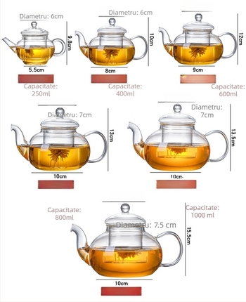 Ceainic din sticlă borosilicată, set de ceai cu infuzor pentru ceaiuri din fructe și plante, rezistent la căldură, Gongfu pentru acasă