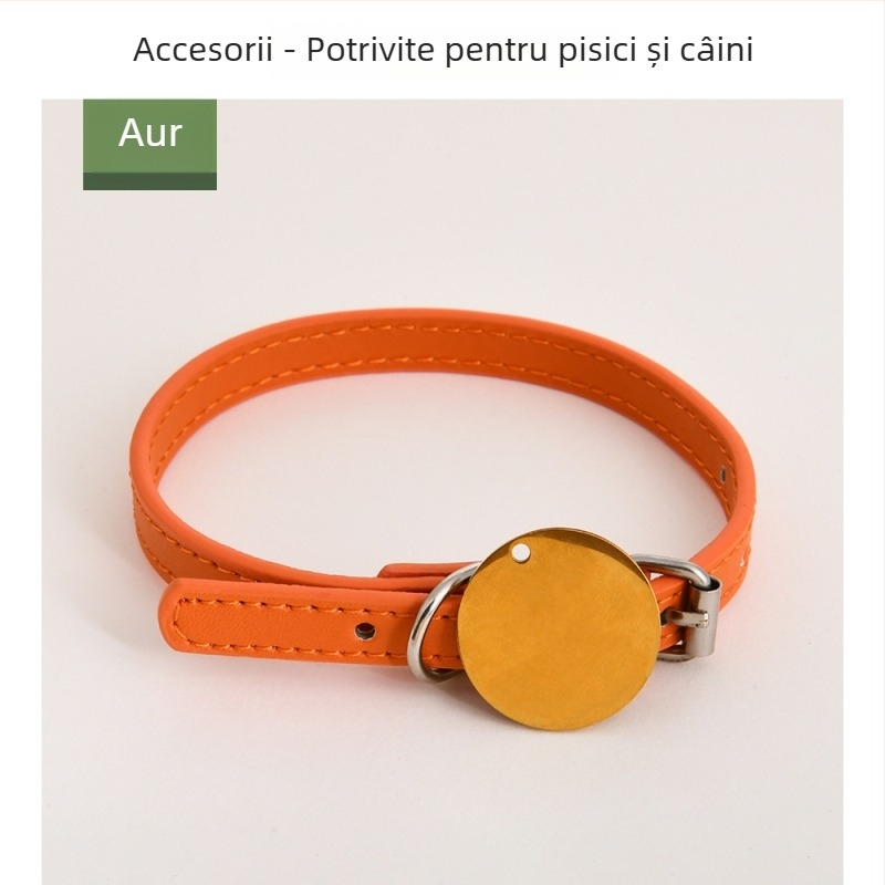 Accesorii externe pentru animale de companie: etichete de identificare personalizabile, în formă de os, pentru zgardă