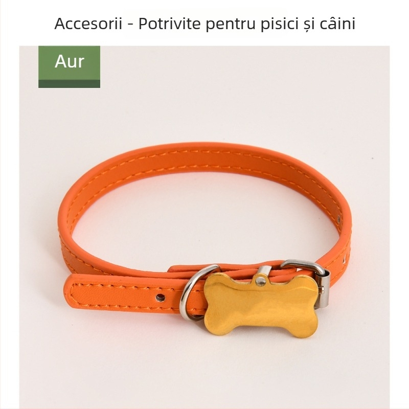 Accesorii externe pentru animale de companie: etichete de identificare personalizabile, în formă de os, pentru zgardă