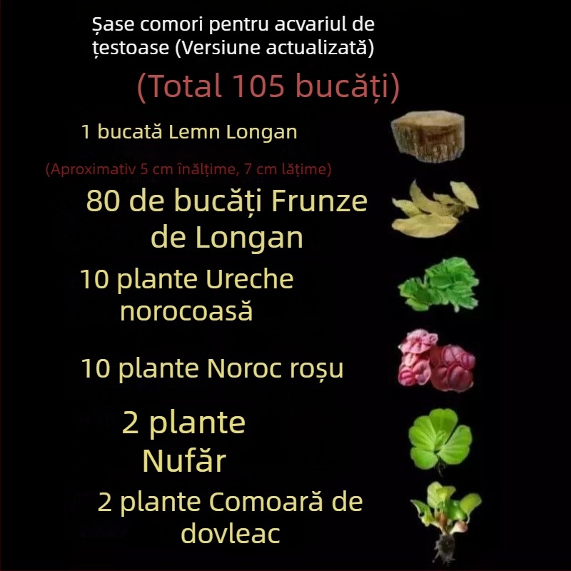 Acvariu pentru țestoase, cu plante acvatice ecologice și decor natural pentru țestoase mici