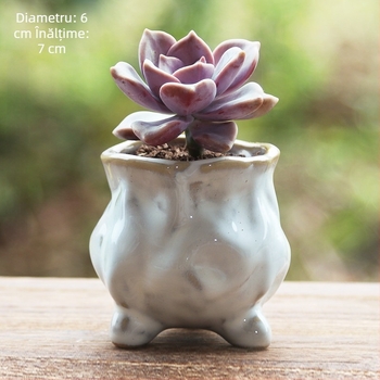 Ghiveci ceramic pentru suculente, mini, lucrat manual, glazură de cuptor unică