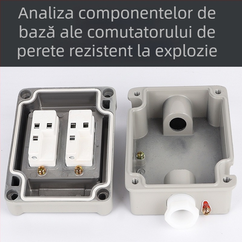 Intrerupător de perete anti-explozii, 220V/380V, montaj pe suprafață, întrerupător rotativ cu siguranță, industrial impermeabil