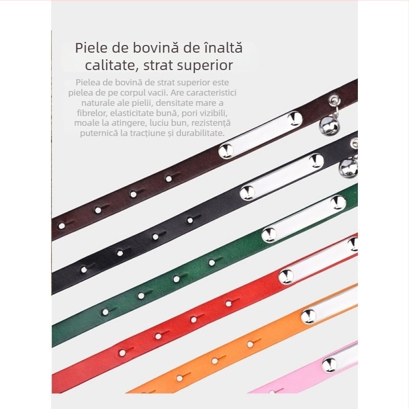 Colier pentru pisici cu clopoțel și etichetă din piele gravată, pentru pisicuțe și câini de talie mică