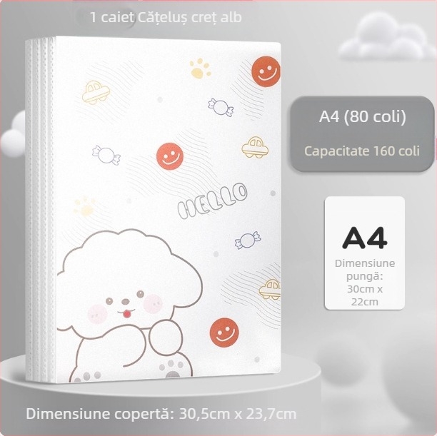 Mapă din plastic A4 cu design animat, pentru teste și certificate, buzunare transparente pentru inserții, organizator de documente pentru elevi, multifuncțional