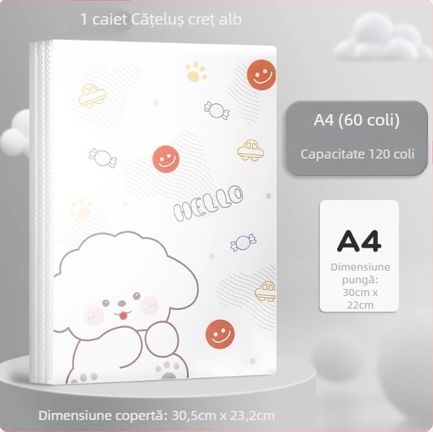 Mapă din plastic A4 cu design animat, pentru teste și certificate, buzunare transparente pentru inserții, organizator de documente pentru elevi, multifuncțional