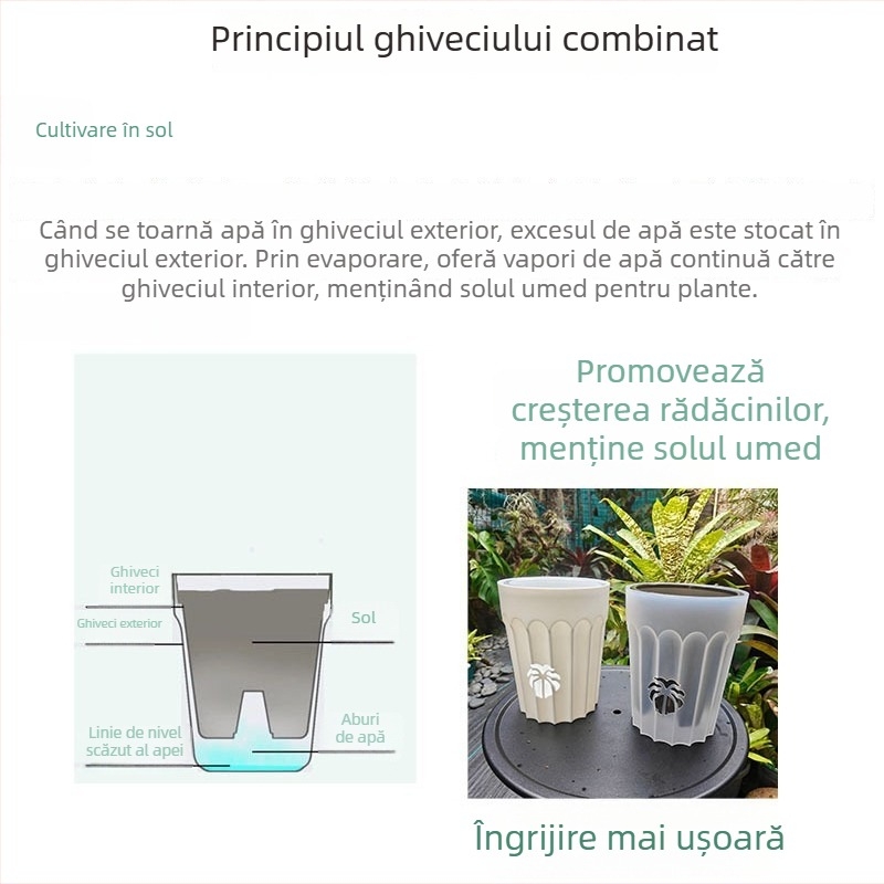 Ghiveci pentru orhidee îmbunătățit, cu coloană de aer pentru controlul rădăcinilor, set de ghivece, respirabil și permeabil la apă, pentru Phalaenopsis