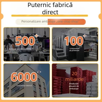 Cutie personalizată de ambalare pentru cosmetice cu finisaj argintiu pe carton, cutie color, cutie albă din carton, cutie cu insert dublu, cutie ondulată tip avion, sacoșă de hârtie, imprimare logo