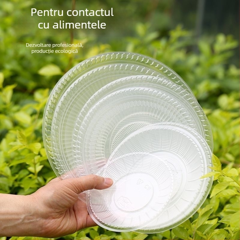 Farfurie de unică folosință, întărită, rezistentă la temperaturi înalte, din plastic, ovală mare pentru restaurante și picnicuri