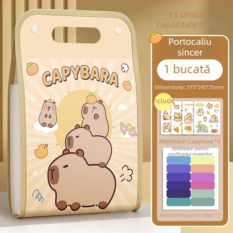 Dosar A4 extensibil cu 13 compartimente pentru organizarea documentelor