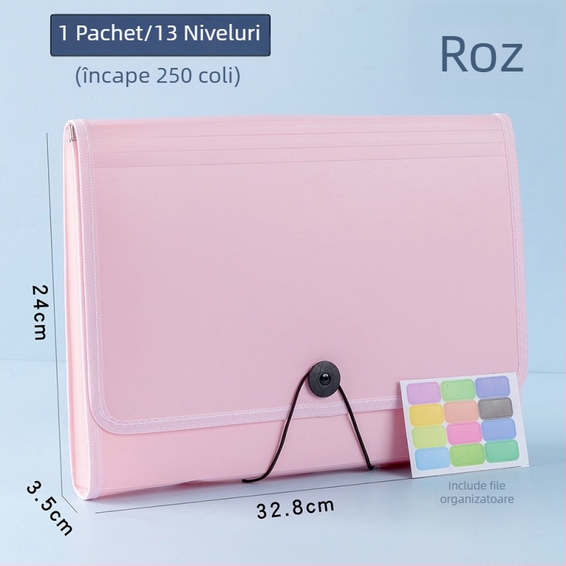 Organizator A4 pentru foi de teste și fișiere de învățare, husă de cărți, dosar acordeon pentru elevi