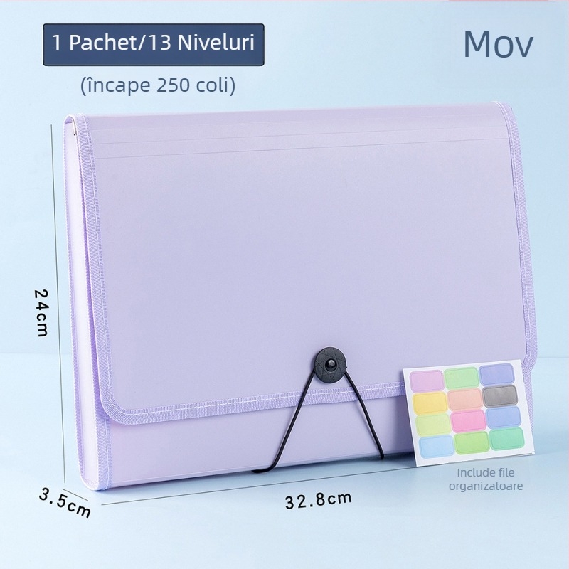 Organizator A4 pentru foi de teste și fișiere de învățare, husă de cărți, dosar acordeon pentru elevi