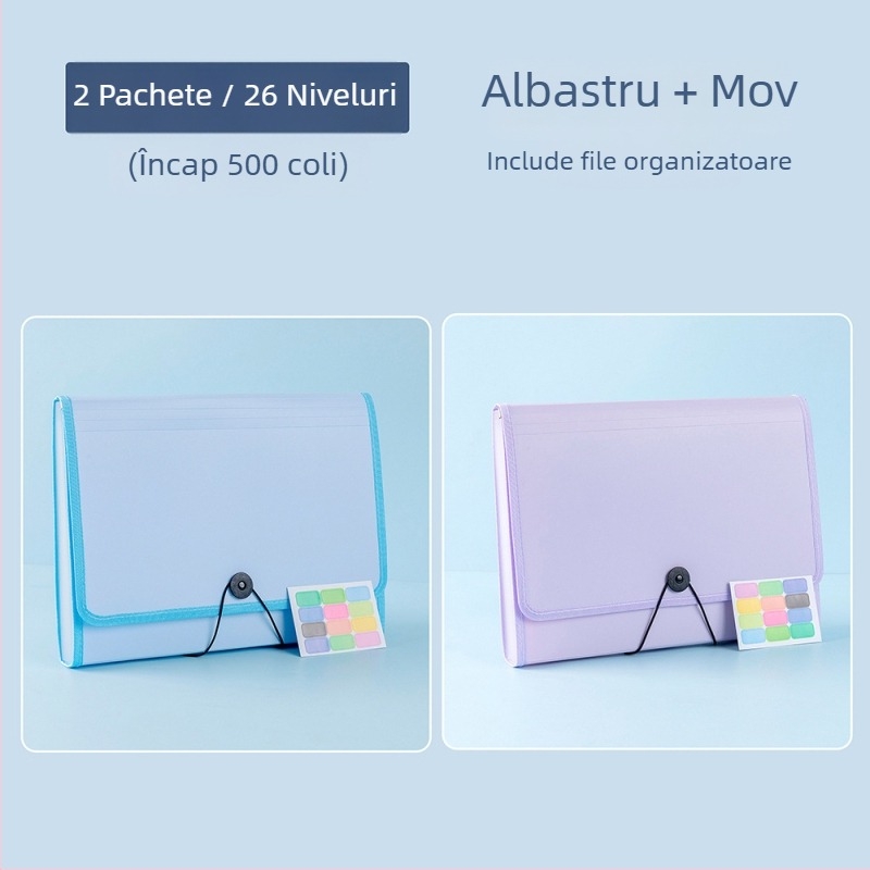 Organizator A4 pentru foi de teste și fișiere de învățare, husă de cărți, dosar acordeon pentru elevi