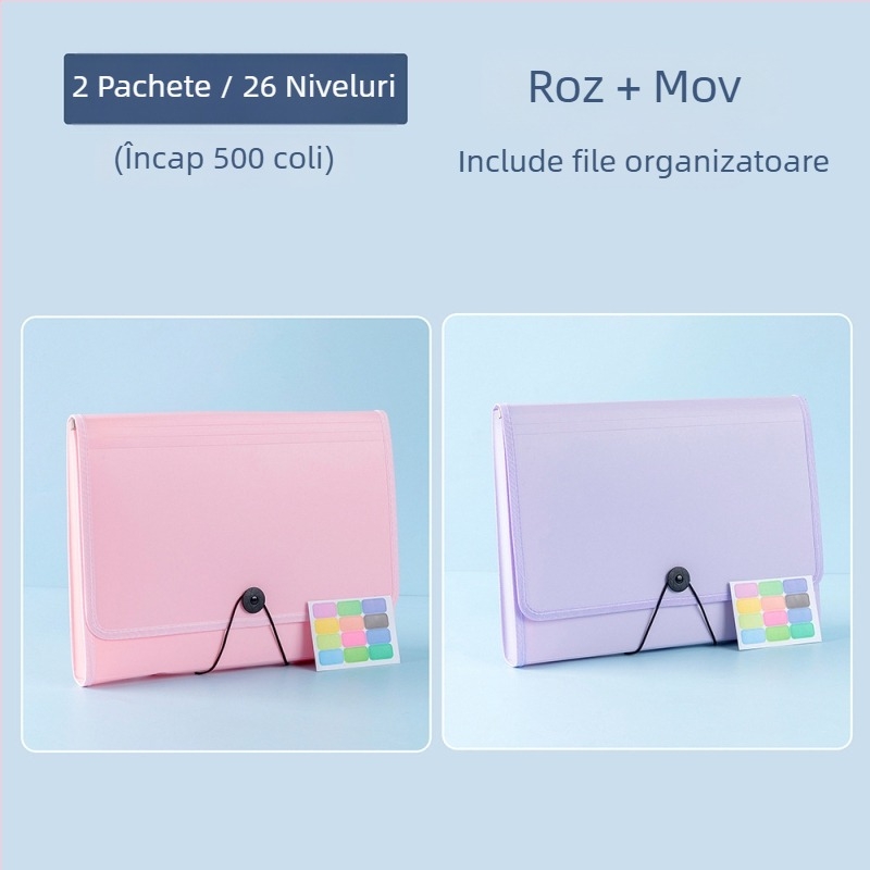 Organizator A4 pentru foi de teste și fișiere de învățare, husă de cărți, dosar acordeon pentru elevi