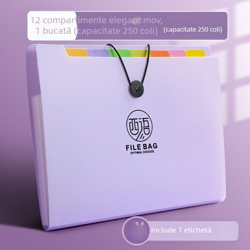 Dosar acordeon A4 pentru birou, organizator pentru lucrări ale elevilor, capacitate mare