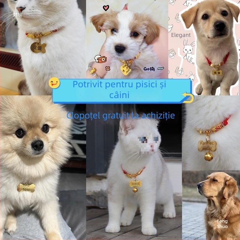 Etichetă antipierdere pentru câini, zgardă personalizată pentru pisici, zgardă de câine, pandant gravat pentru câini de talie mică