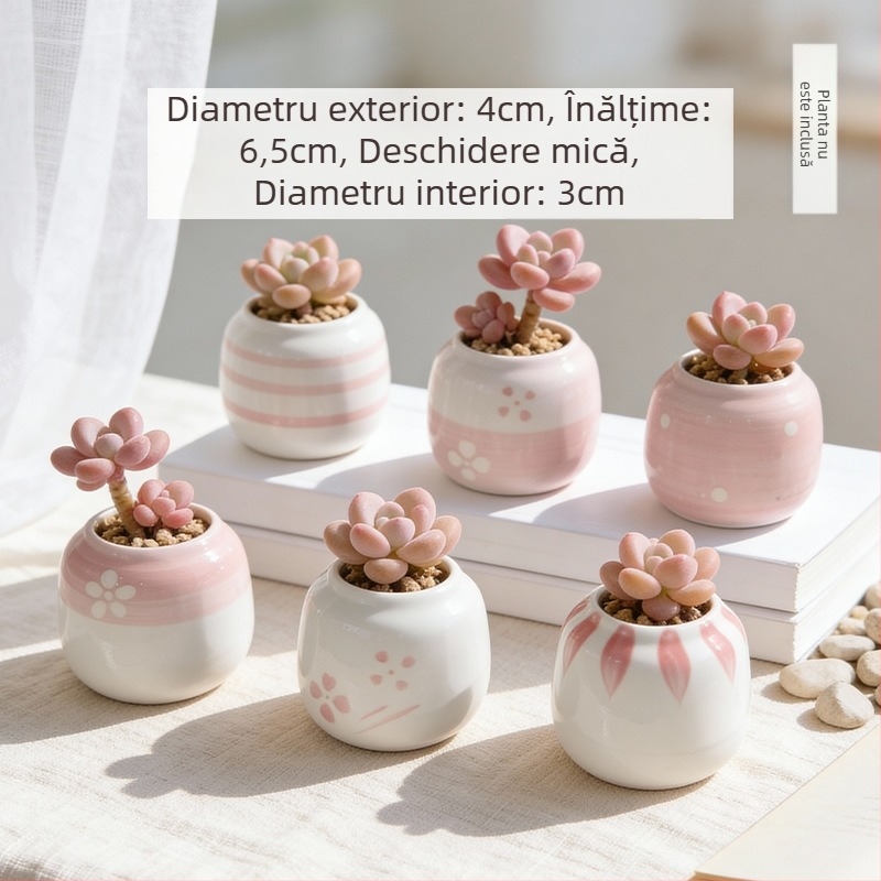 Vas ceramic pentru suculente, rotund, pictat manual, decor de birou, bonsai pe trunchi vechi