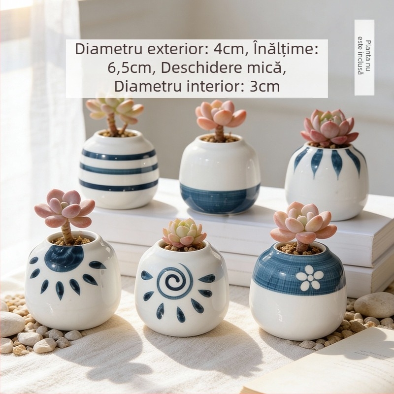 Vas ceramic pentru suculente, rotund, pictat manual, decor de birou, bonsai pe trunchi vechi