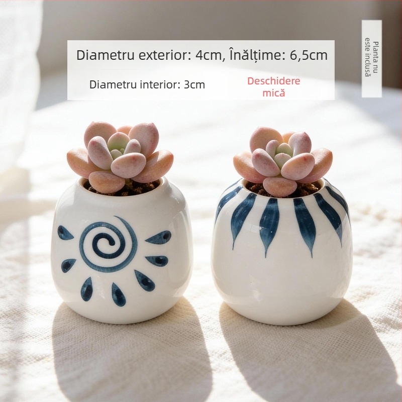Vas ceramic pentru suculente, rotund, pictat manual, decor de birou, bonsai pe trunchi vechi