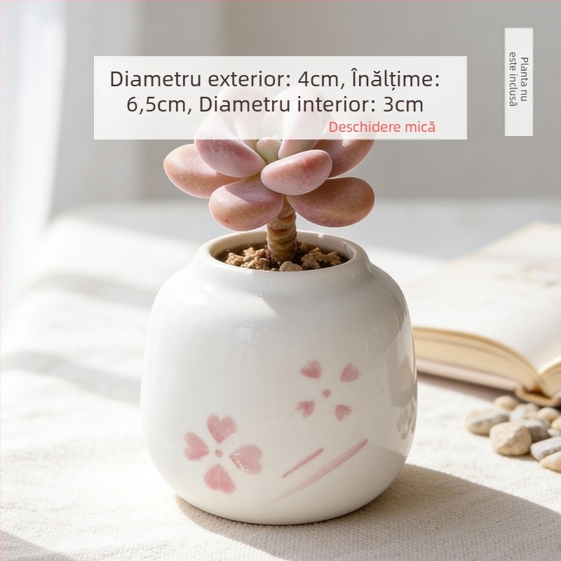 Vas ceramic pentru suculente, rotund, pictat manual, decor de birou, bonsai pe trunchi vechi