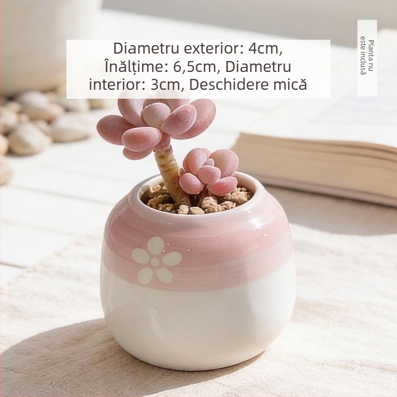Vas ceramic pentru suculente, rotund, pictat manual, decor de birou, bonsai pe trunchi vechi