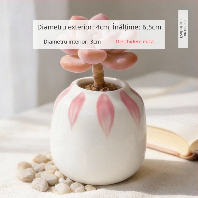 Vas ceramic pentru suculente, rotund, pictat manual, decor de birou, bonsai pe trunchi vechi