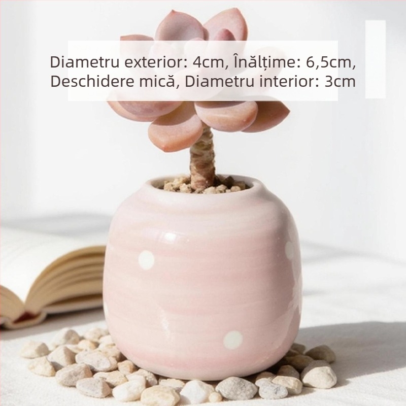 Vas ceramic pentru suculente, rotund, pictat manual, decor de birou, bonsai pe trunchi vechi