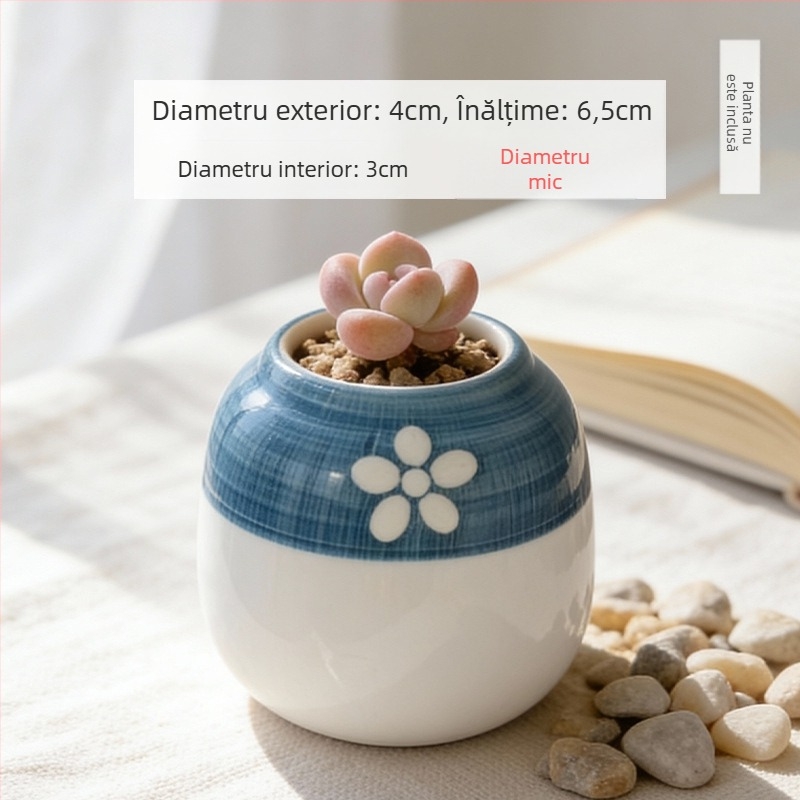 Vas ceramic pentru suculente, rotund, pictat manual, decor de birou, bonsai pe trunchi vechi