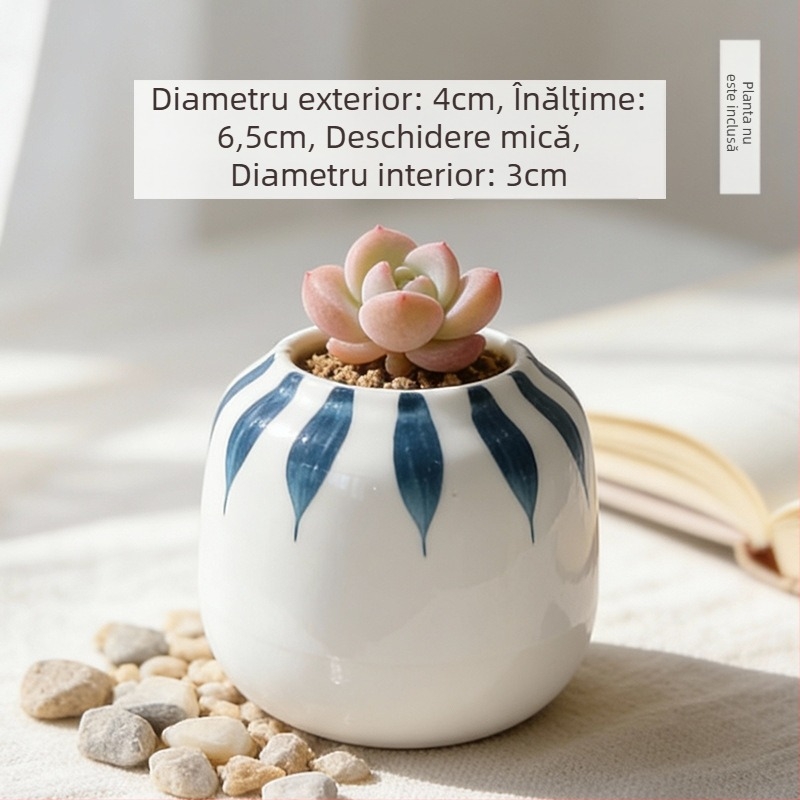 Vas ceramic pentru suculente, rotund, pictat manual, decor de birou, bonsai pe trunchi vechi