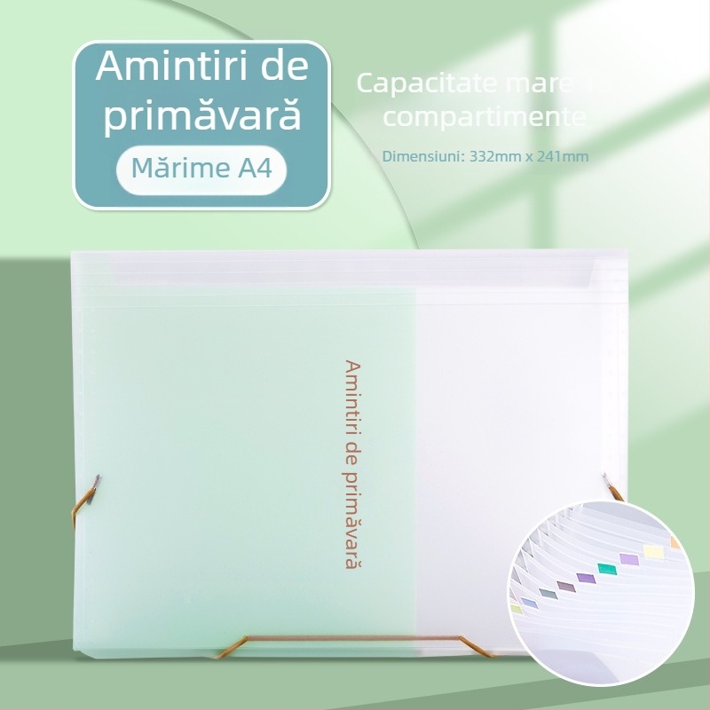 Organizator acordeon pentru facturi cu TVA, chitanțe, bonuri, numerar și cecuri