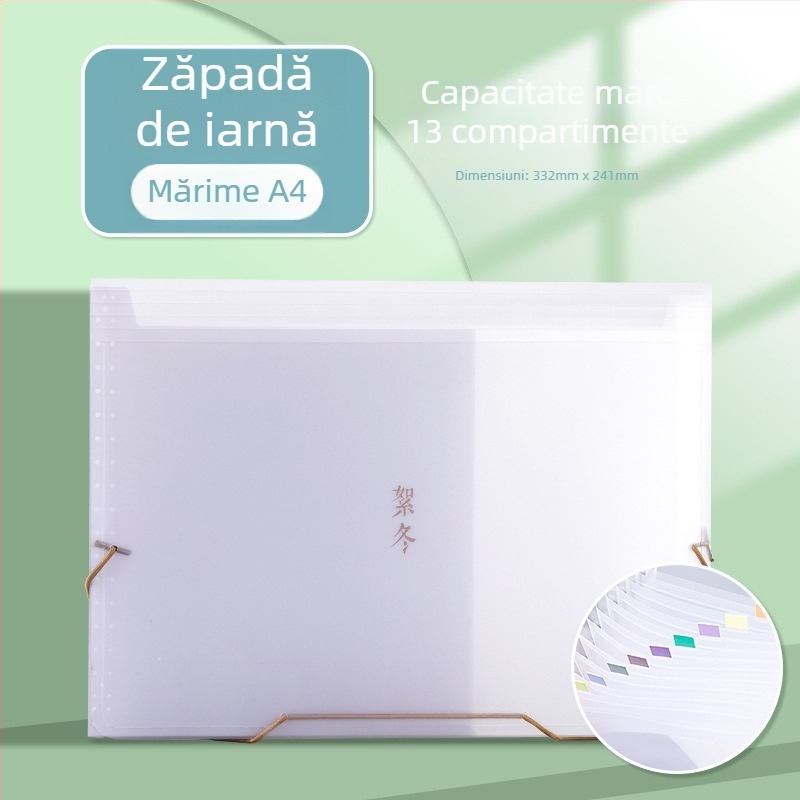 Organizator acordeon pentru facturi cu TVA, chitanțe, bonuri, numerar și cecuri