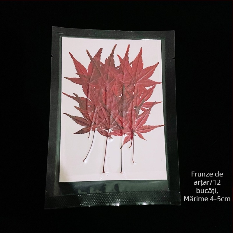 Decorațiuni pentru bar: frunze de arțar, frunze de bambus, frunze de pepperwood și mostre de vene ale frunzelor