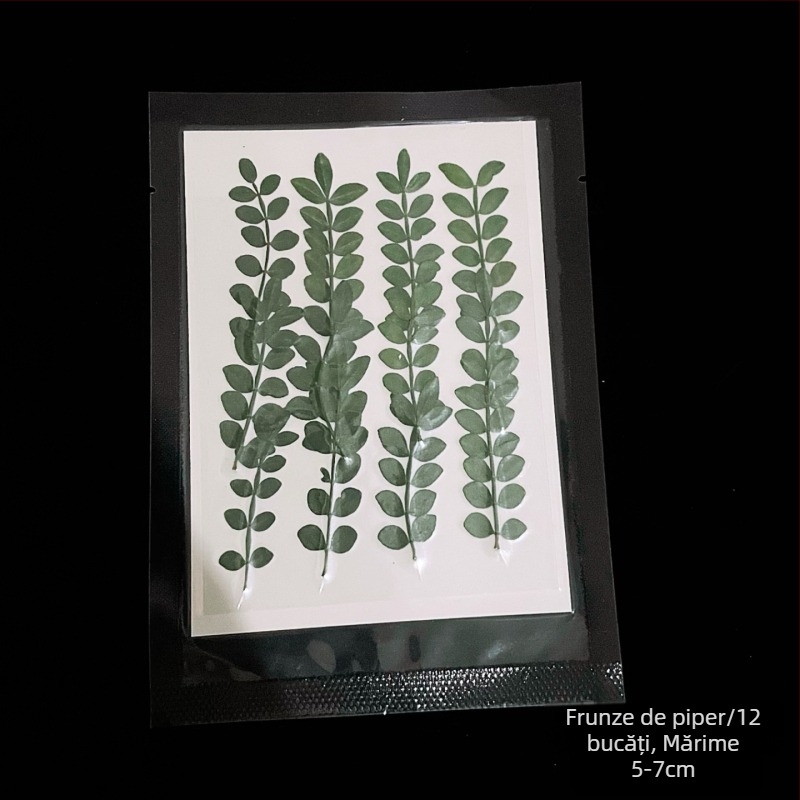 Decorațiuni pentru bar: frunze de arțar, frunze de bambus, frunze de pepperwood și mostre de vene ale frunzelor