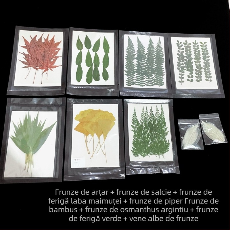 Decorațiuni pentru bar: frunze de arțar, frunze de bambus, frunze de pepperwood și mostre de vene ale frunzelor