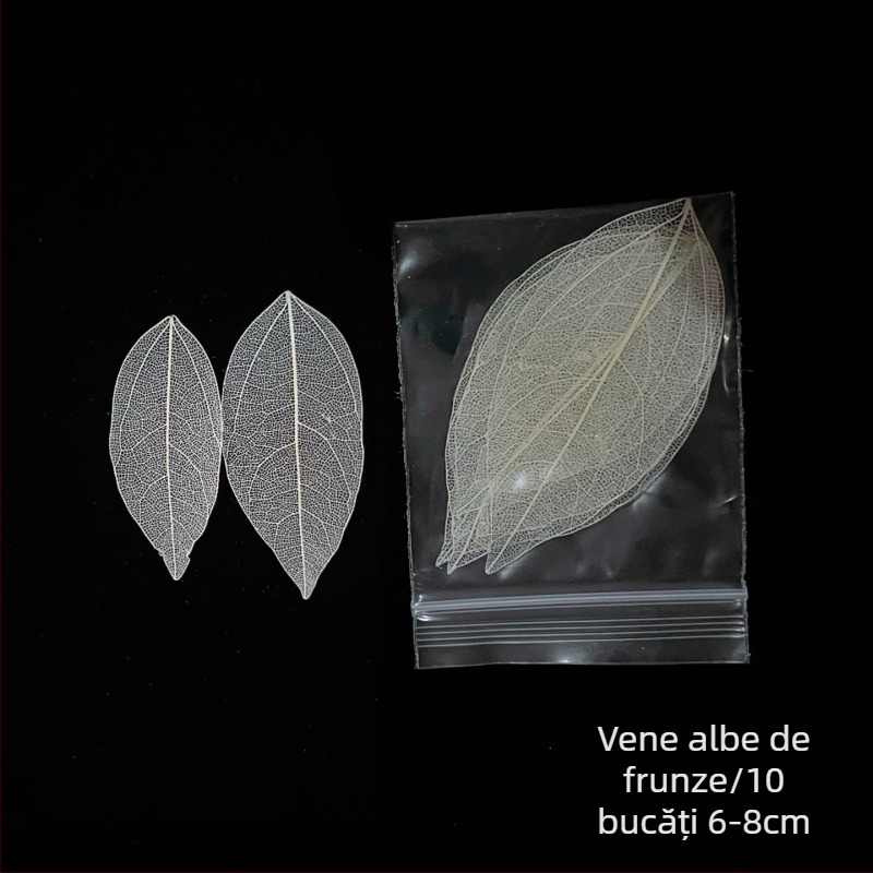 Decorațiuni pentru bar: frunze de arțar, frunze de bambus, frunze de pepperwood și mostre de vene ale frunzelor