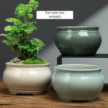 Ghiveci ceramic rotund pentru Phalaenopsis, bonsai și suculente