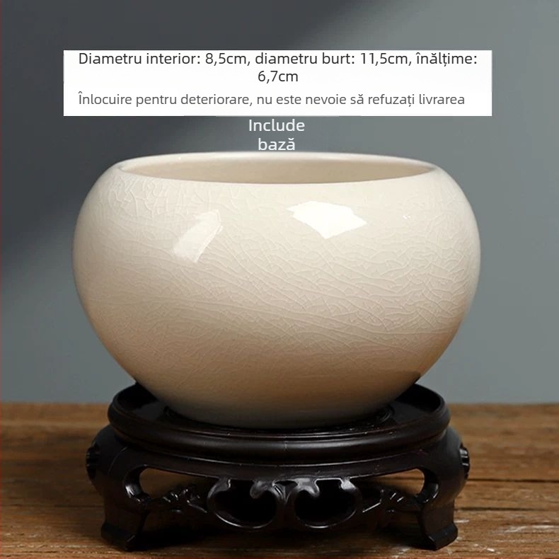 Ghiveci ceramic rotund pentru Phalaenopsis, bonsai și suculente