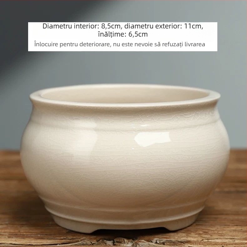 Ghiveci ceramic rotund pentru Phalaenopsis, bonsai și suculente