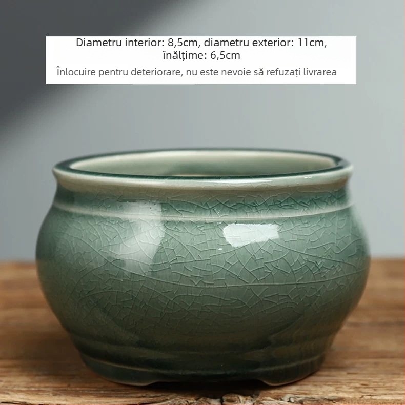 Ghiveci ceramic rotund pentru Phalaenopsis, bonsai și suculente