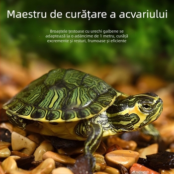 Curățător de acvariu pentru țestoasa cu urechi galbene, îndepărtarea algelor și a deșeurilor, apă rece, țestoasă vie