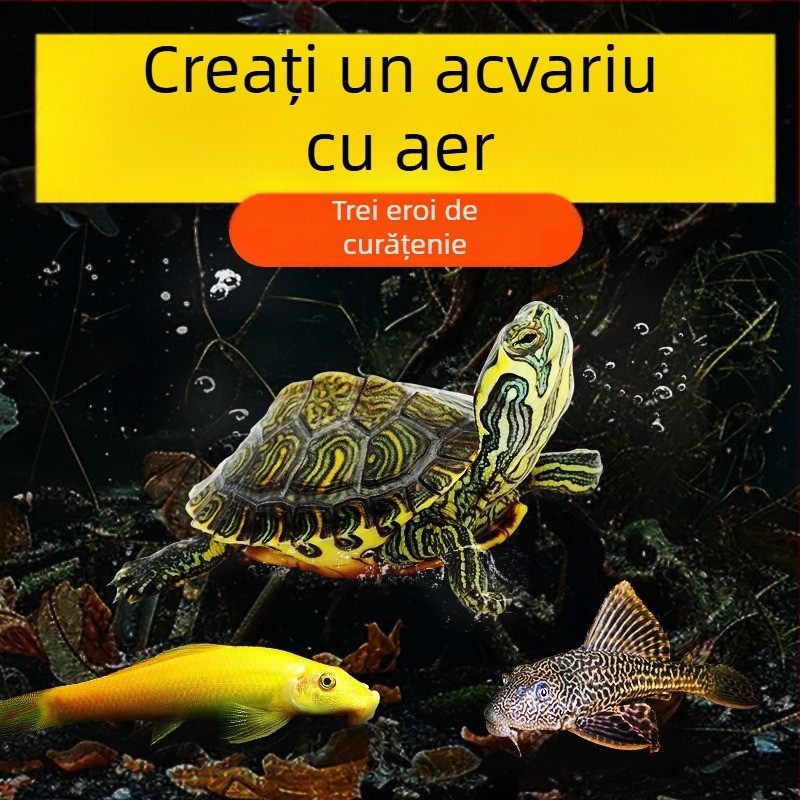 Curățător de acvariu pentru țestoasa cu urechi galbene, îndepărtarea algelor și a deșeurilor, apă rece, țestoasă vie