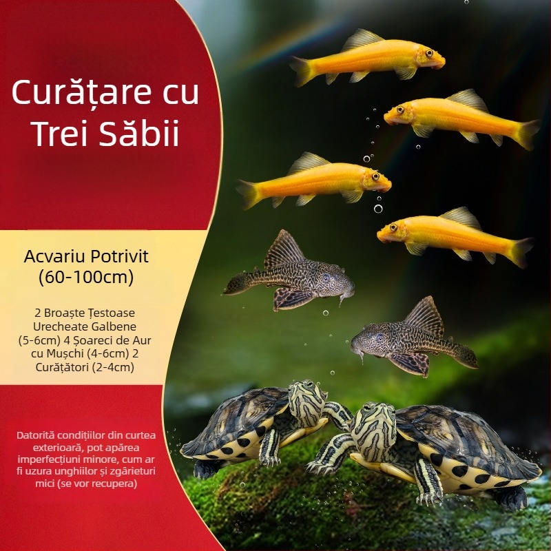 Curățător de acvariu pentru țestoasa cu urechi galbene, îndepărtarea algelor și a deșeurilor, apă rece, țestoasă vie
