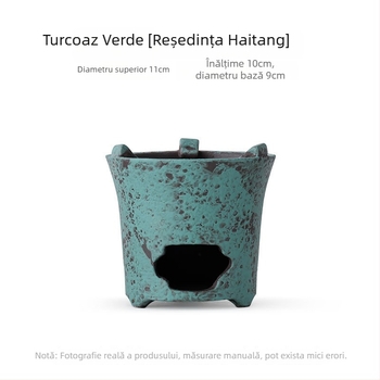 Plită ceramică pentru ceai cu lampă de alcool, pentru prepararea ceaiului Kung Fu, set de ceai pentru drumeții, încălzitor ecologic pentru fierberea apei