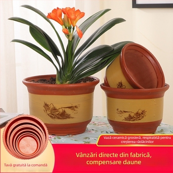 Ghiveci ceramic extra-large pentru plante, respirabil