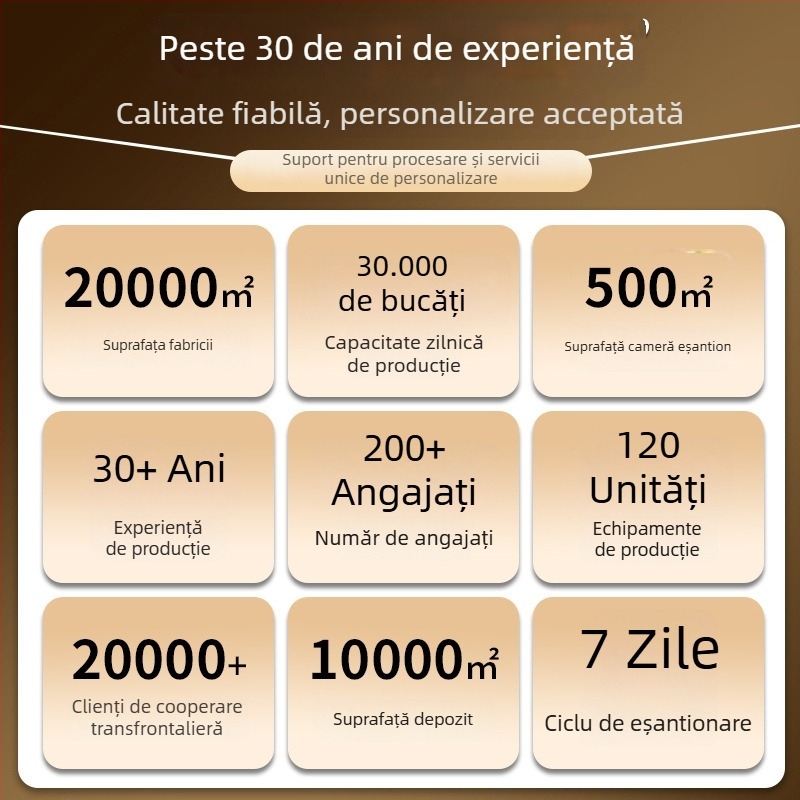 Recipient personalizat pentru supă cu cuib de pasăre, oală ceramică mică cu capac, vas de supă cu două mâneri, capacitate 0,5 L